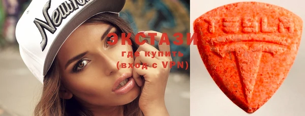 шишки Аркадак