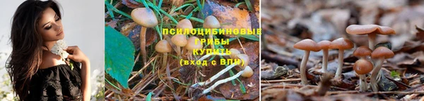 спиды Армянск