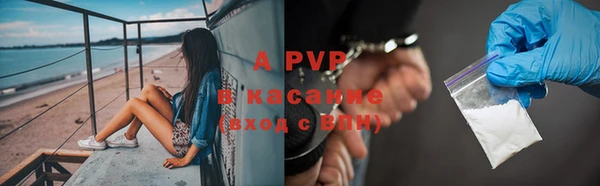 шишки Аркадак