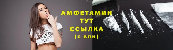 шишки Аркадак