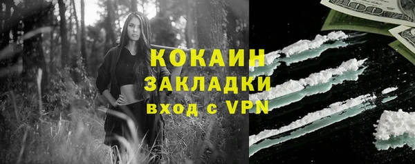 шишки Аркадак