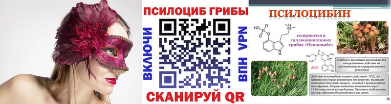 наркота  Артёмовский  Псилоцибиновые грибы Cubensis 